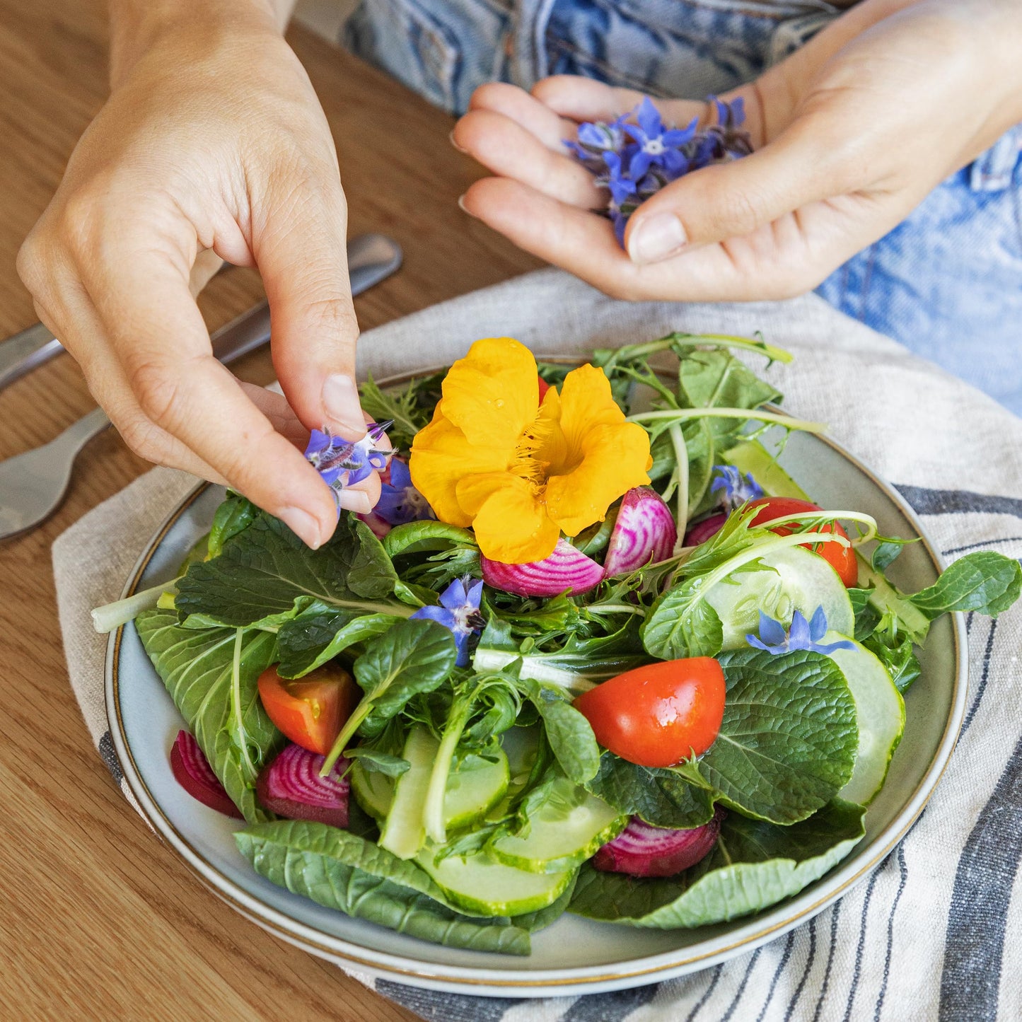 Essbare Blumen Samen Set: Delikatess Blüten Blumensamen