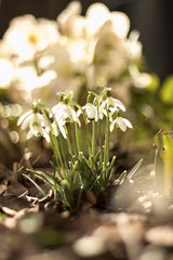 Tipps zu mehr Nachhaltigkeit im deinemAlltag 🌱